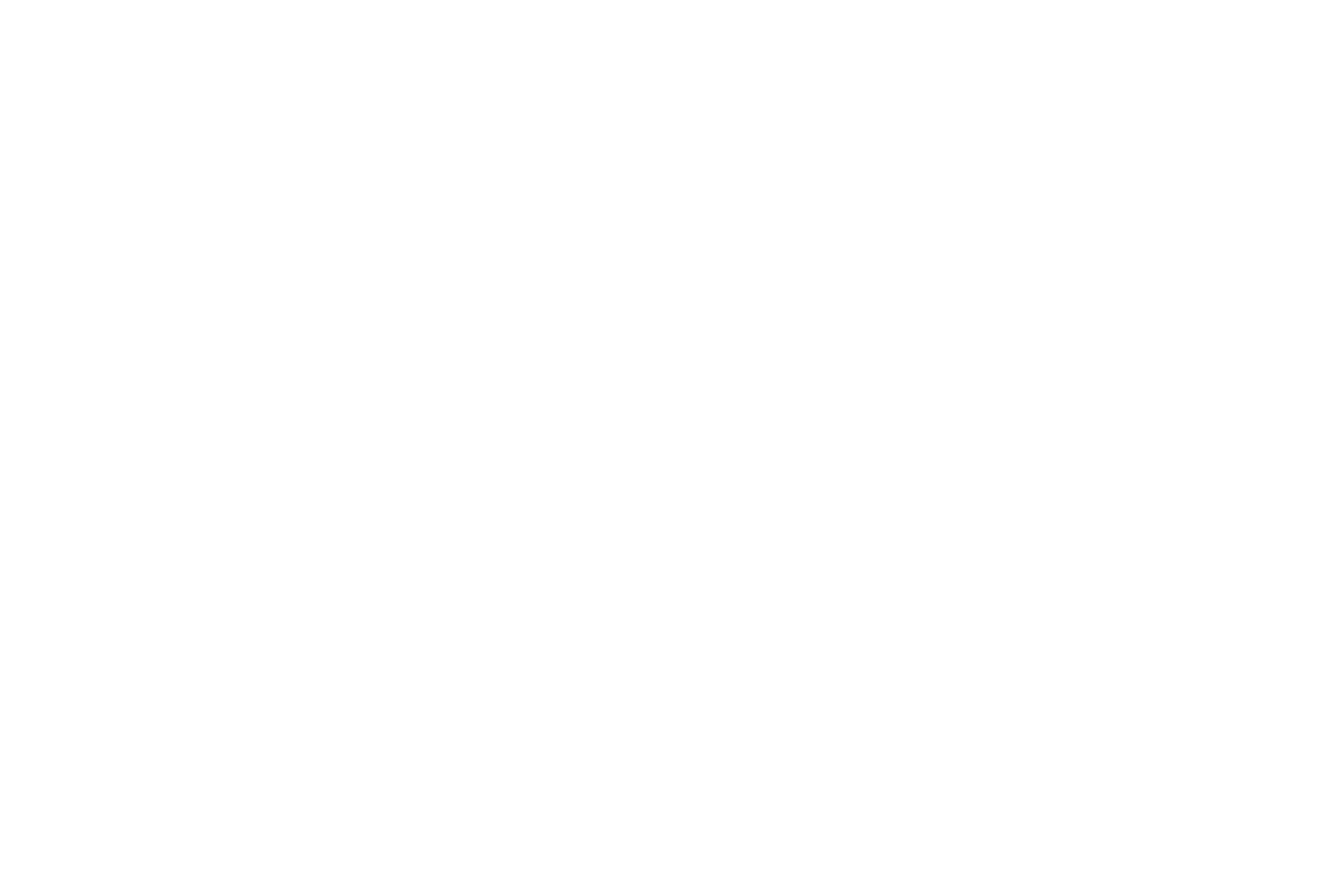 DACHS-AI